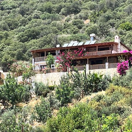 Istlada Tas Ev Apart - Kekova View Kapakli Exterior photo